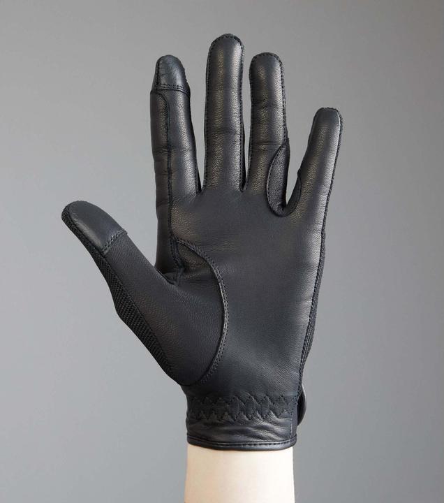 Actual product image Premier Equine Bordoni (L)