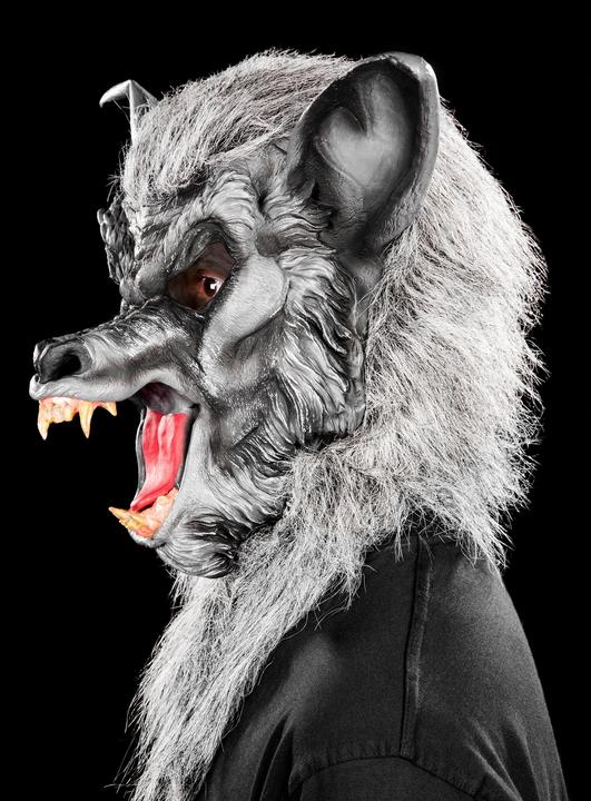 Fun World Division Werwolf grau