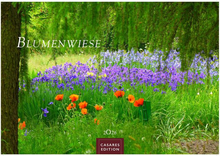Produktbild Blumenwiese 2026 L 35x50cm (35 x 50 cm, Deutsch)