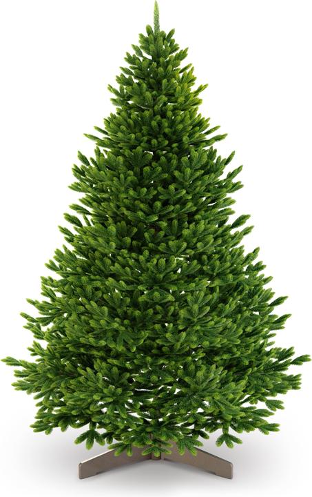 Produktbild Artitree Weihnachtsbaum 150 cm mit FSC-Holzständer (150 cm)