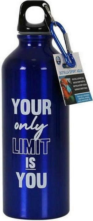 Bewinner Thermosflasche Aluminium 500 ml 6,5 x 21 cm (12 Stück) (0.50 l)