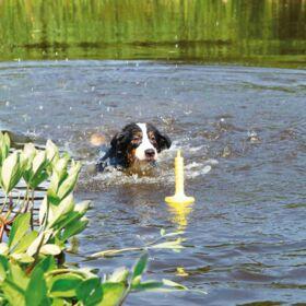 Actual product image Trixie Dog Activity Mot-Aqua 29cm (Ball toy dog)