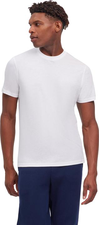 Falke Herren (M)