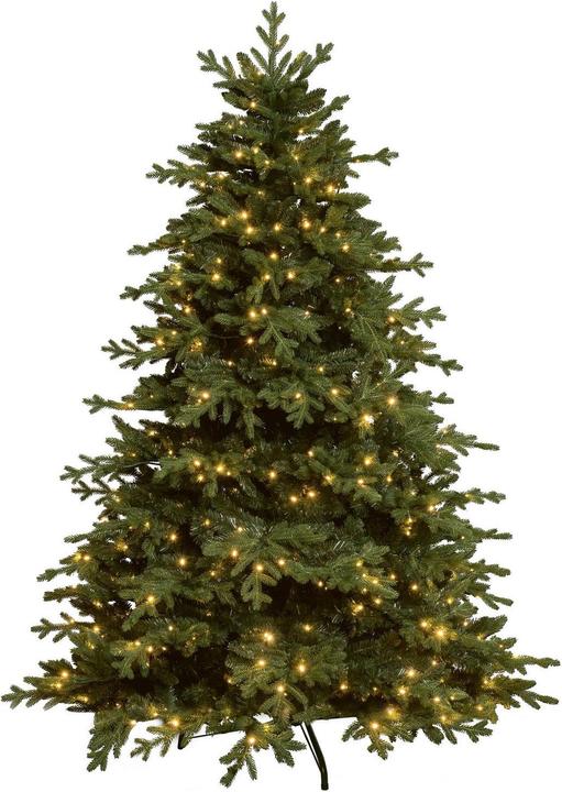 Image du produit STT Tree (180 cm)