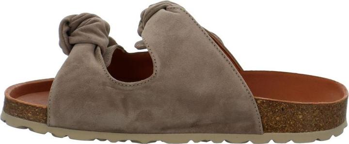 Actual product image Verbenas Rain (38)
