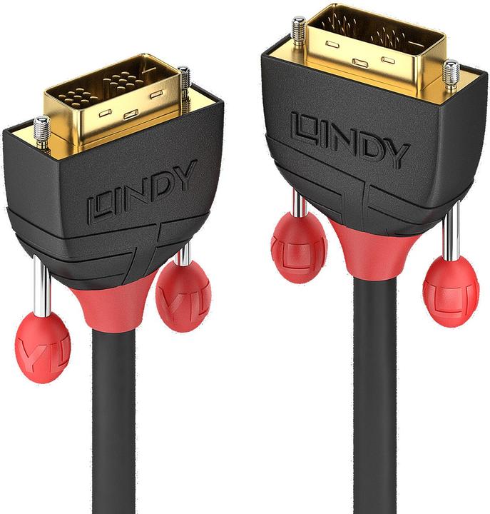 Produktbild Lindy Dvi — Dvi (2 m, DVI)