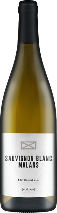 Actual product image Von Salis Sauvignon Blanc Malanser AOC from Salis (1 x 75 cl, 2023)