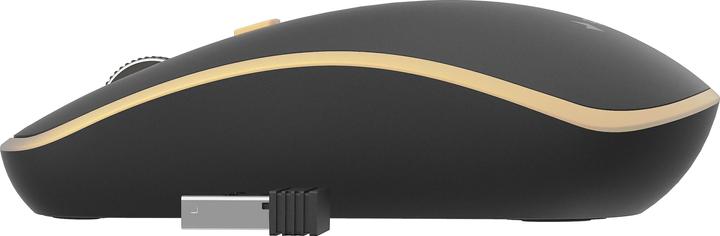 Actual product image Gembird MUSW-4B-06-BG Wireless mouse (Wireless)