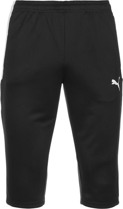 Puma TeamLIGA Trainingshose Herren (XL)