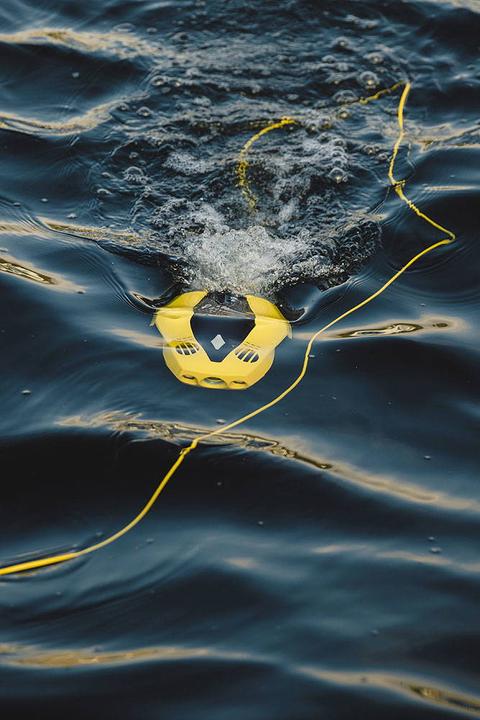 Image du produit Chasing Dory