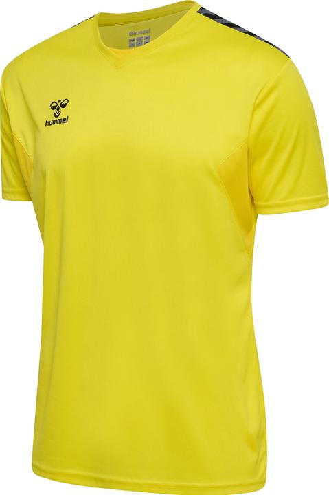 Blazingyellow