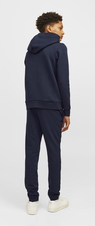 Actual product image Jack & Jones JJELOGO SWEAT HOOD 2 COL 24/25 NOOS JNR (128)
