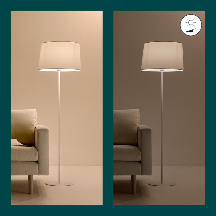 Actual product image WiZ white (E27, 8 W, 806 lm, 1 x, F)