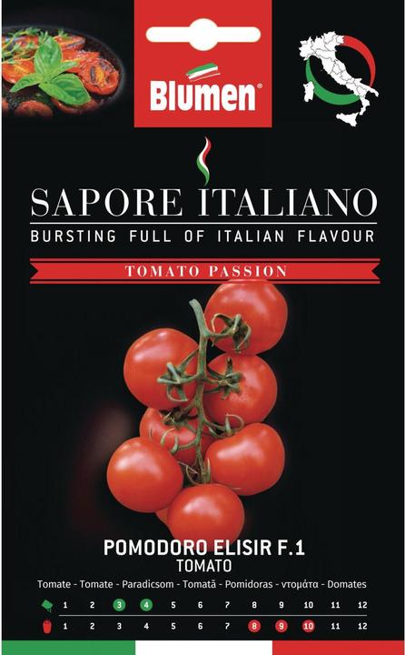 Image du produit Blumen Tomate Elisir F1 (Graines de légumes)
