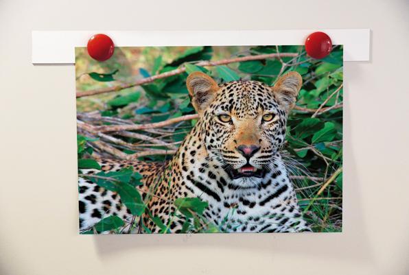 Image du produit Eduplay Ruban magnétique Flexo 10 m x 35 mm