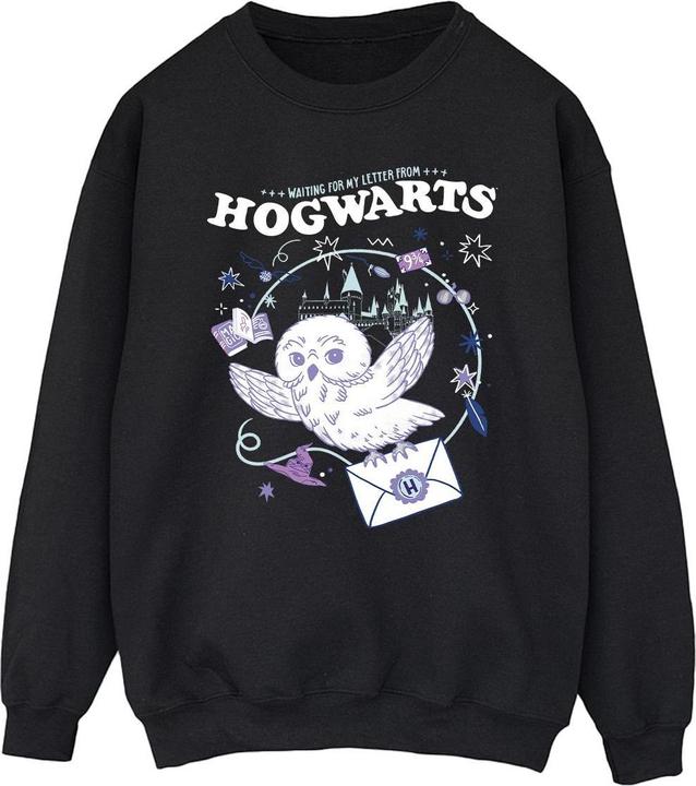 Owl Letter From Hogwarts Sweatshirt (L)