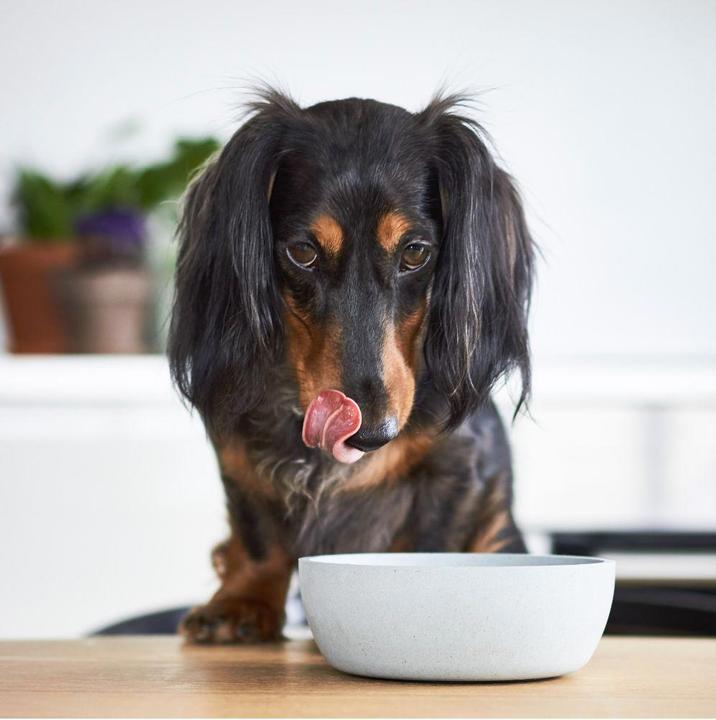 Actual product image District 70 Bamboo Dog Bowl (1.60 l)