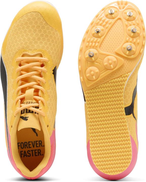 Image du produit Puma evoSpeed Star (34)