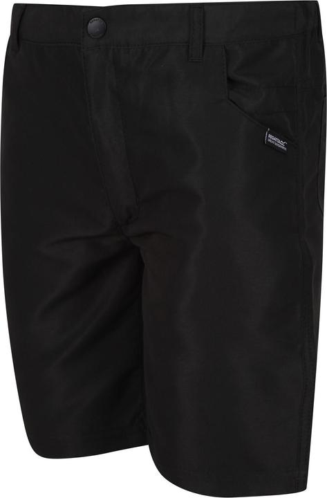 Actual product image Regatta Sorcer II Shorts (104)