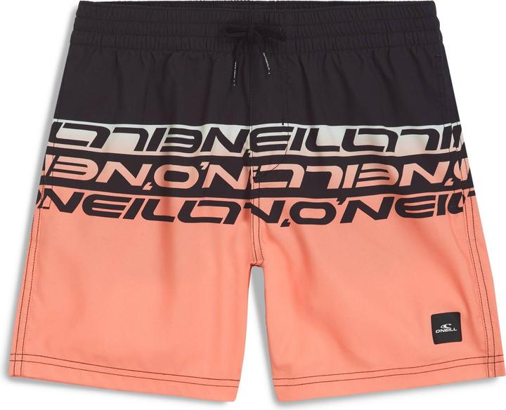 O'Neill Cali Stripe 14" Swimshorts