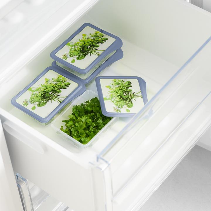 Produktbild Rotho Set Gefrierdosen Kräuter (0.20 l)
