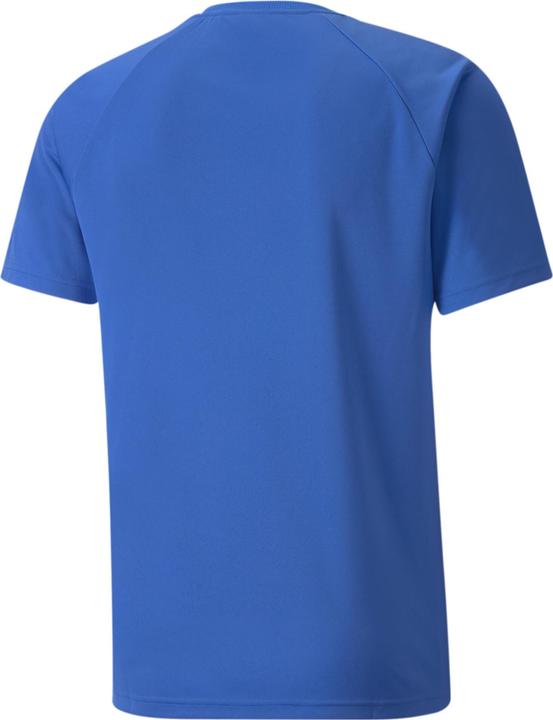 Actual product image Puma Team Liga Striped (XS)