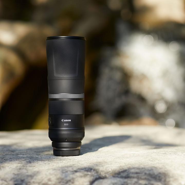 Actual product image Canon RF 800mm f/11 IS STM (Canon RF, full size)