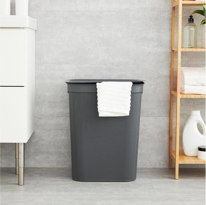 Immagine prodotto Rotho Breezes 1 (50 l)