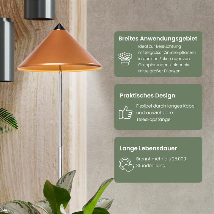 Productafbeelding Colibri Zonne (LED, 230 V)
