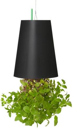 boskke Sky Planter Medium (14.40 cm)