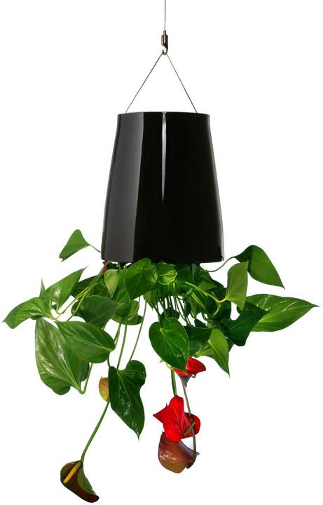 boskke Sky Planter Céramique Moyen (20 cm)