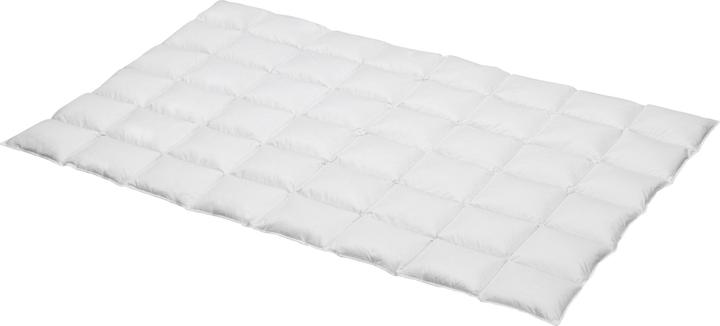 Actual product image Erwin Müller Vancouver (550 g, 155 x 220 cm)