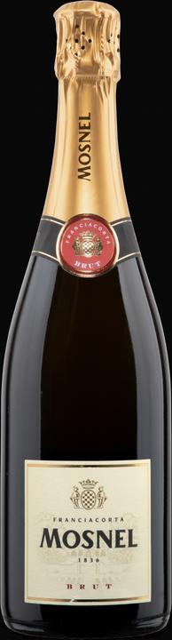 Il Mosnel Franciacorta DOCG brut (1 x 75 cl)