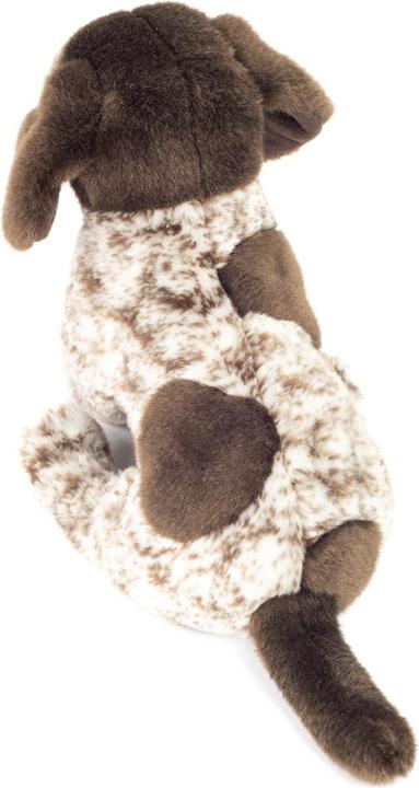Immagine prodotto Teddy Hermann Giocattolo di peluche Cucciolo tedesco a pelo corto (22 cm)