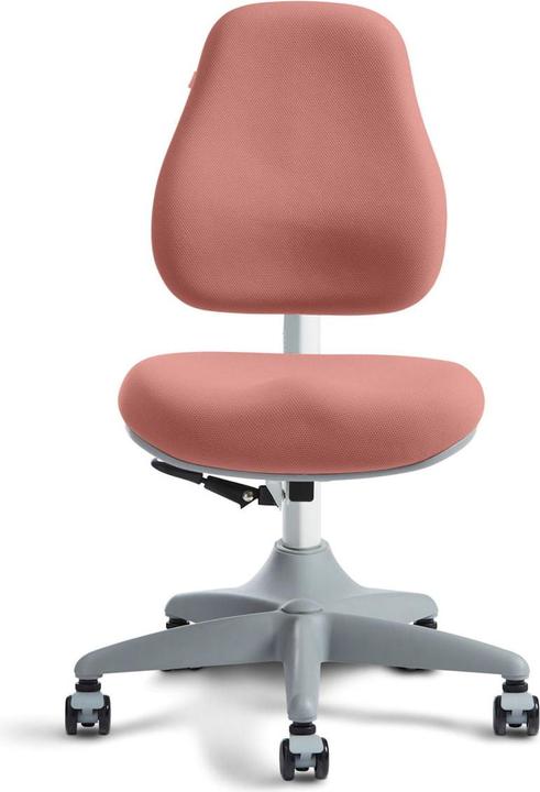 Produktbild Flexa Stuhl Verto Misty Rose