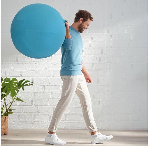 Image du produit Leitz Ballon-siège Ergo Cosy Active (65 cm)