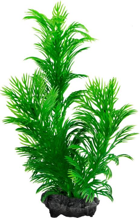Image du produit Tetra DecoArt Plantastics Green Cabomba (Décoration, autres éléments)