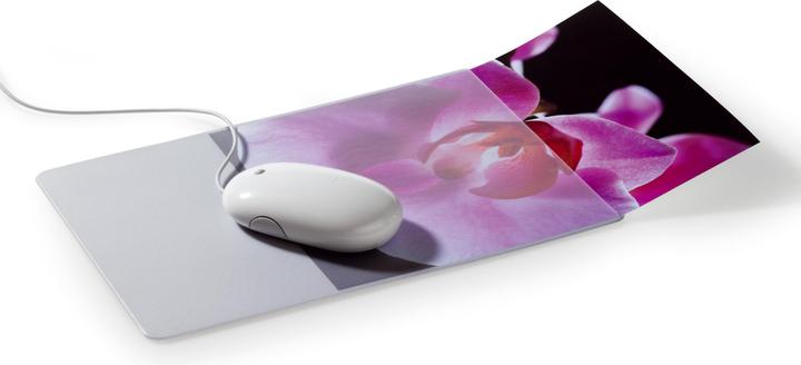Immagine prodotto Durable Plus (M)