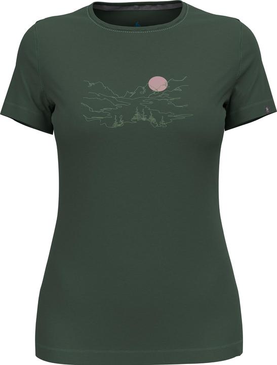 camping green