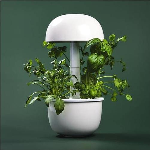 Actual product image Plantui Smart Garden 3e (Seedlings)