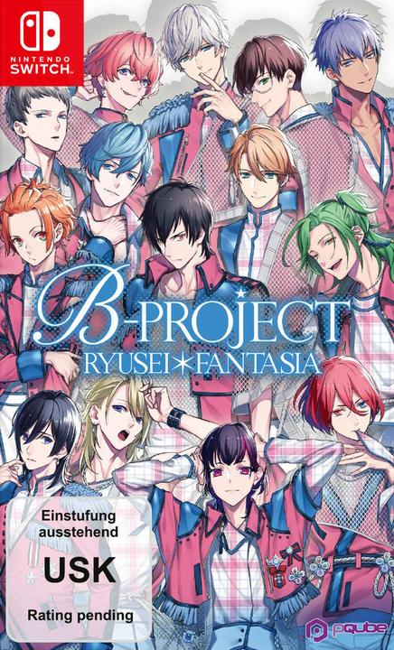Pqube B Project Switch (Switch, DE)