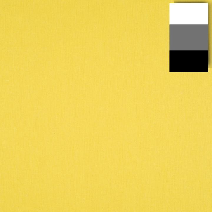 Walimex pro Stoffhintergrund (285 cm, 600 cm)