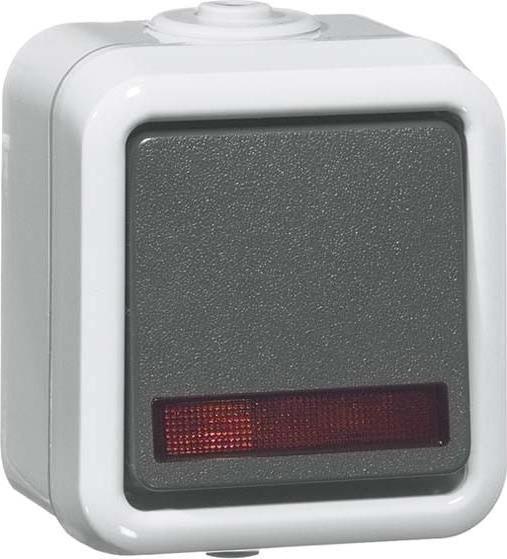 Peha rocker switch