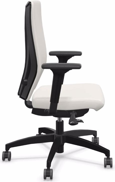 Immagine prodotto Dauphin ST 6855