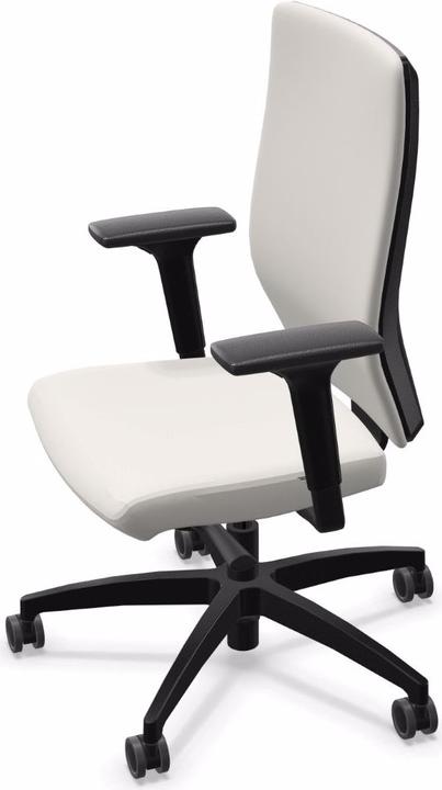 Immagine prodotto Dauphin ST 6855