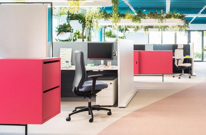 Immagine prodotto Dauphin ST 6855