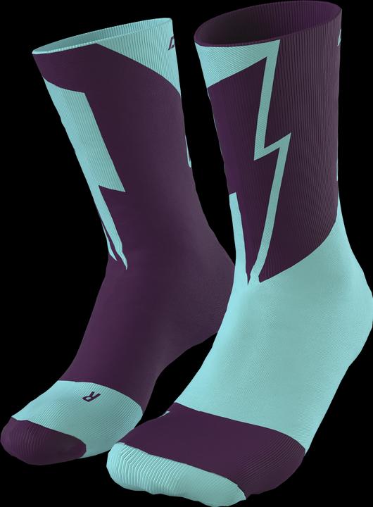 Actual product image Dynafit No Pain No Gain socks (35 - 38)