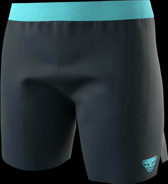 Actual product image Dynafit Women's Alpine Shorts (L)
