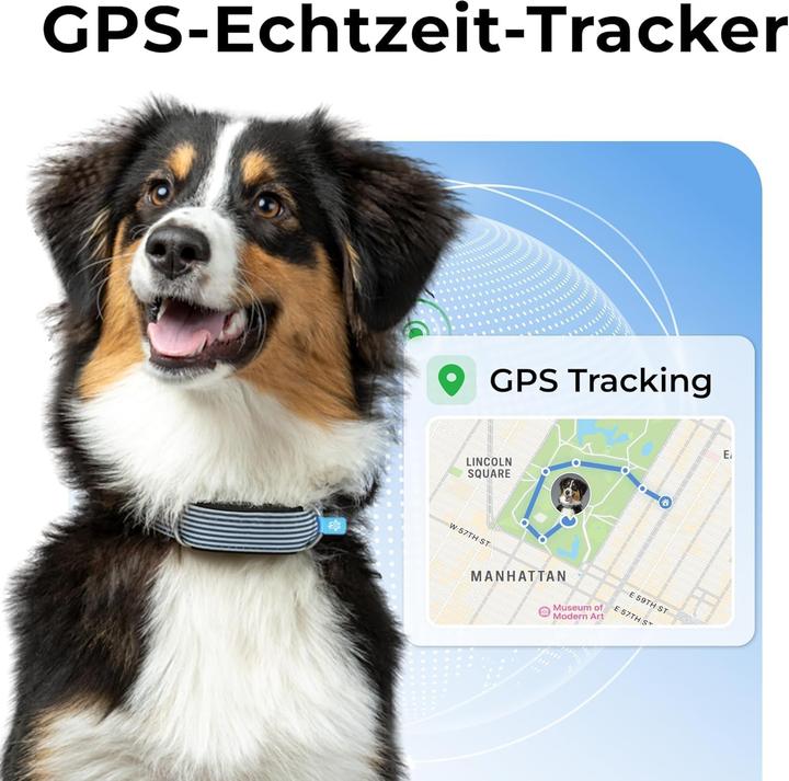 Image du produit Invoxia GPS Tracker Bundle, abonnement d'un an inclus (Android, iOS)