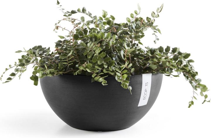 Actual product image Ecopots Brussels (30 cm)